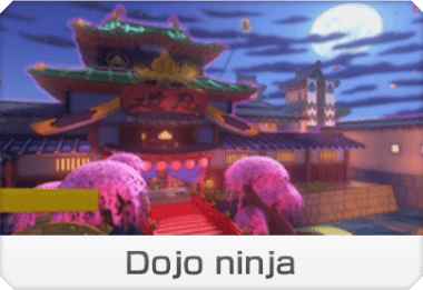 Dojo Ninja (Tour)