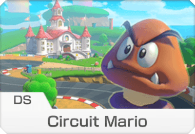 Circuit Mario (DS)