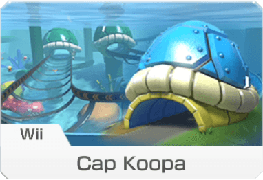 Cap Koopa (Wii)