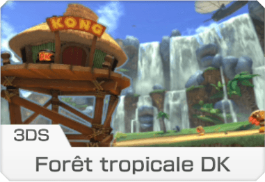 Forêt Tropical DK (3DS)