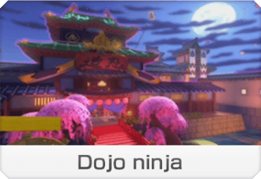 Dojo Ninja (Tour) Dojo Ninja (Tour)