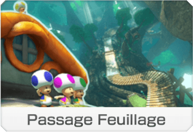 Passage Feuillage Passage Feuillage